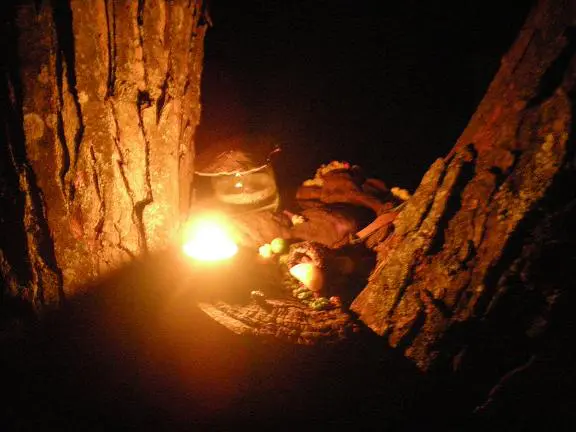 faerie-tree-alight