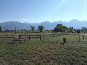 colorado cannabis